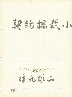 契约总裁小萌宝