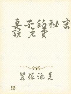 妻子的秘密 小说 免费