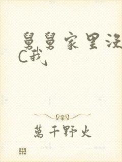 舅舅家里没人快C我