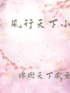 风行天下小说