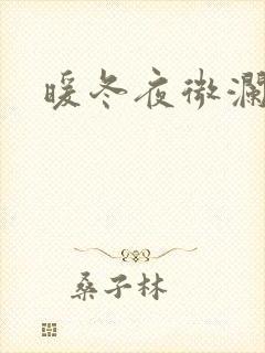 暖冬夜微澜