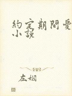 约定期间爱上你小说