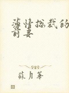 薄情总裁的失声前妻