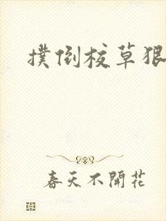 扑倒校草狠狠亲