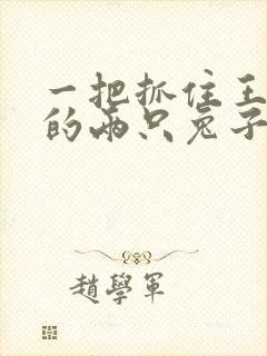 一把抓住王昭君的两只兔子