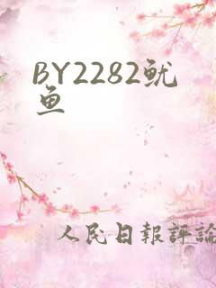 BY2282鱿鱼