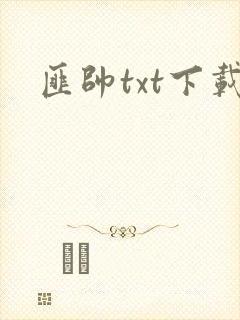 匪帅txt下载