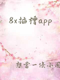 8x插槽app
