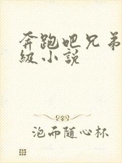 奔跑吧兄弟限制级小说