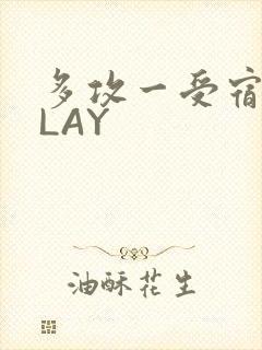 多攻一受宿舍PLAY