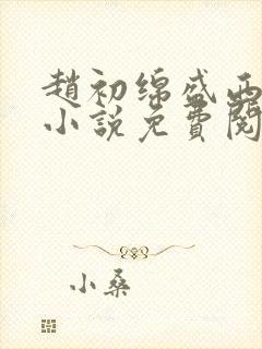 赵初绵盛西舫的小说免费阅读