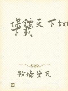 保镖天下txt下载