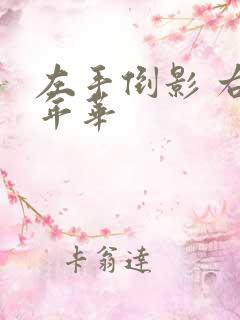 左手倒影 右手年华