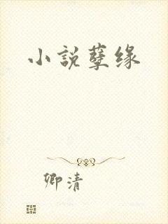 小说孽缘