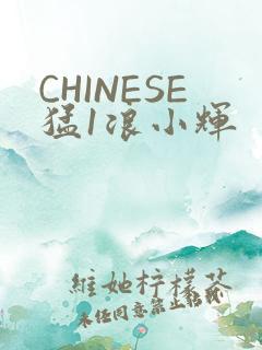 CHINESE猛1浪小辉
