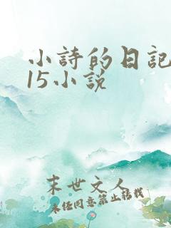 小诗的日记1一15小说