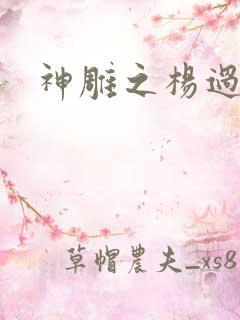 神雕之杨过新传