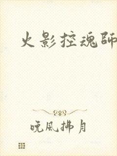 火影控魂师