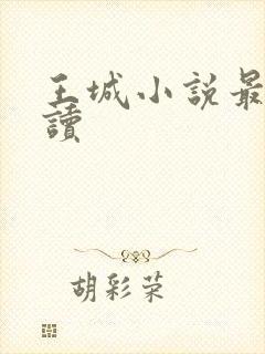 王城小说最近阅读