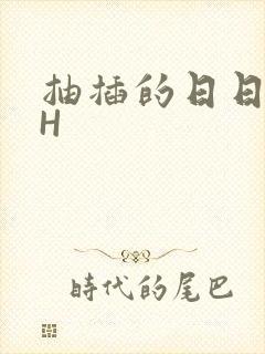 抽插的日日液液H