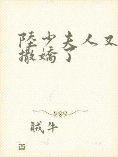 陆少夫人又双叒撒娇了