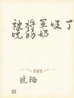 被将军吸了一整晚的奶