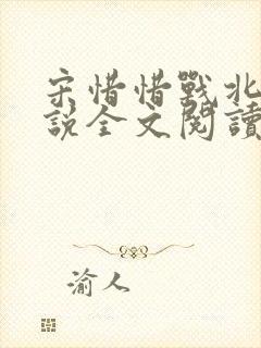 宋惜惜战北望小说全文阅读