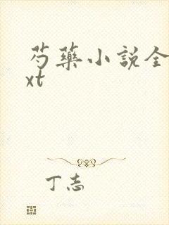 芍药小说全文txt