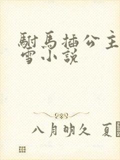 驸马插公主恋战雪小说