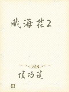 藏海花2