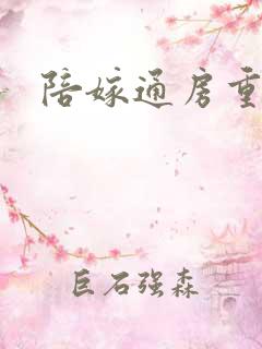 陪嫁通房重生记