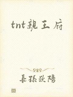tnt亲王府