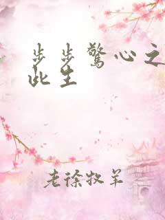 步步惊心之禛曦此生