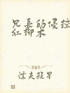 兄长的侵控by红柳木