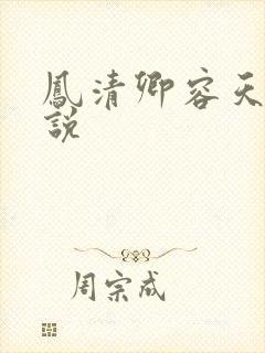 凤清卿容天凌小说