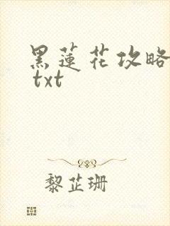 黑莲花攻略手册 txt