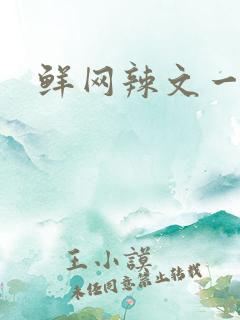 鲜网辣文一对一