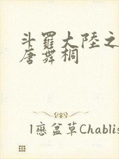 斗罗大陆之肉奴唐舞桐