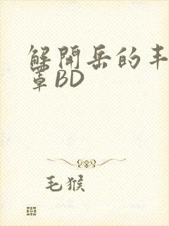 解开岳的丰满奶罩BD