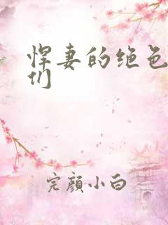 悍妻的绝色夫君们