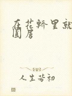 在花轿里就开始圆房