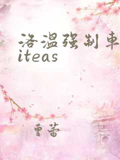 洛温强制车writeas