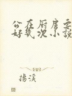 公在厨房要了我好几次小说