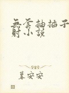 无套抽插子宫内射小说