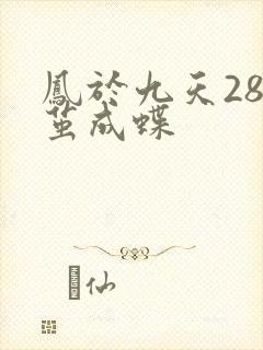 凤于九天28破茧成蝶