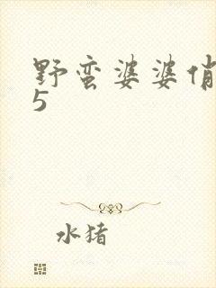 野蛮婆婆俏媳妇5