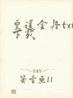 皇道金丹txt下载