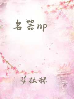 名器np