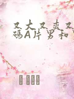 又大又爽又黄无码A片男和男