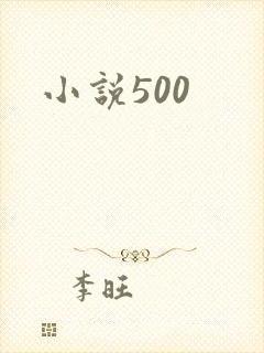 小说500